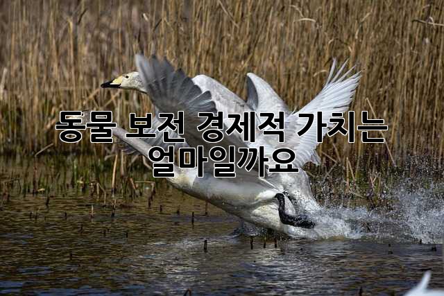동물 보전, 경제적 가치는 얼마일까요?