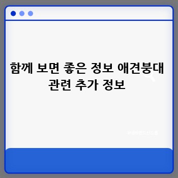 함께 보면 좋은 정보 애견붕대 관련 추가 정보