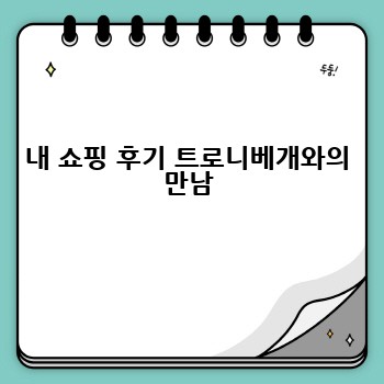 내 쇼핑 후기 트로니베개와의 만남