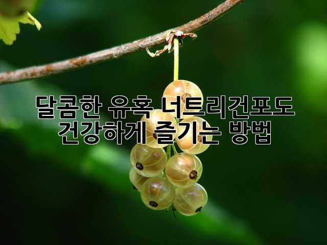 달콤한 유혹, 너트리건포도 건강하게 즐기는 방법