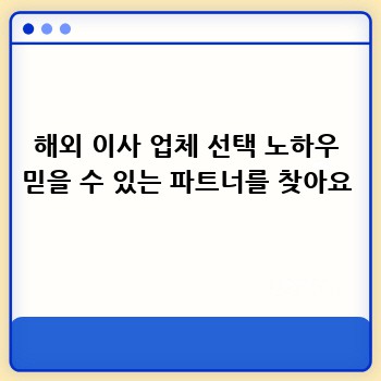 해외 이사 업체 선택 노하우 믿을 수 있는 파트너를 찾아요